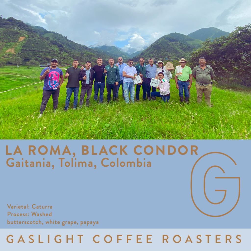 Colombia | Black Condor