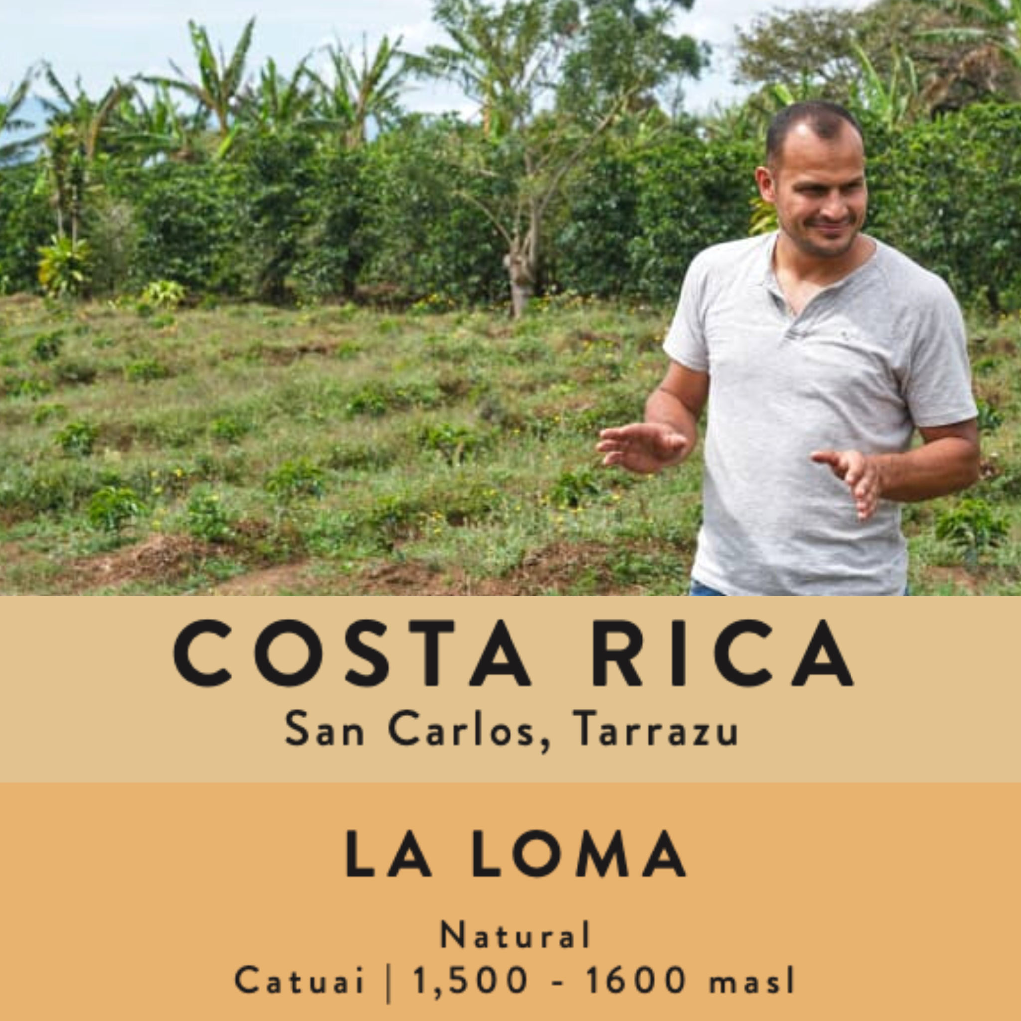 Costa Rica | La Loma