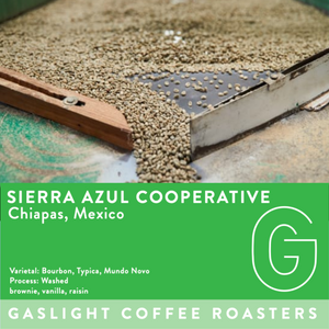 Mexico | Sierra Azul Cooperative